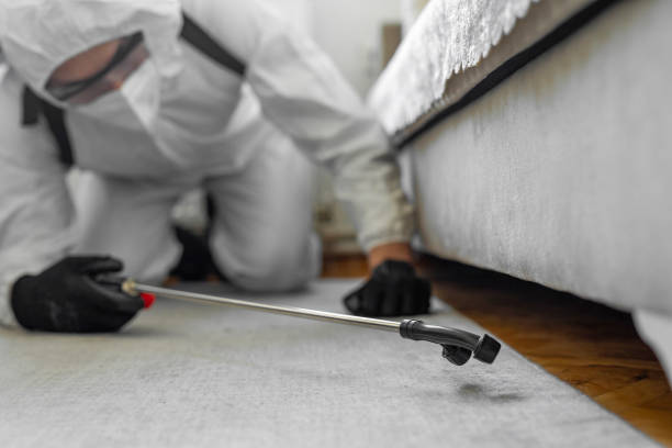 Professional Termite Control technician working in Hometown, IL